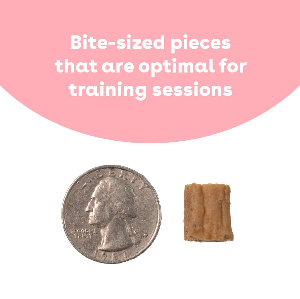 Soft & Chewy Training Treats for Dogs & Puppies Chicken 5 oz B95560