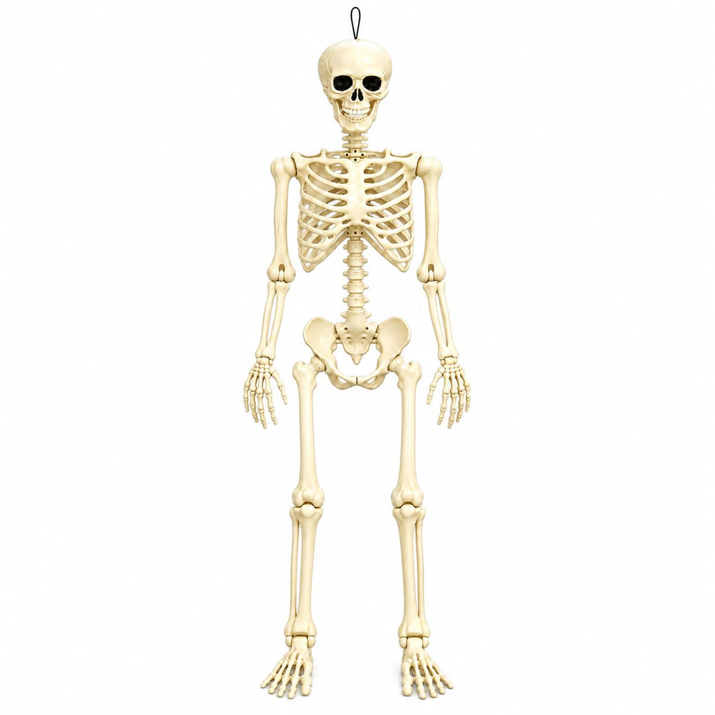 Posable Halloween Skeleton P22629