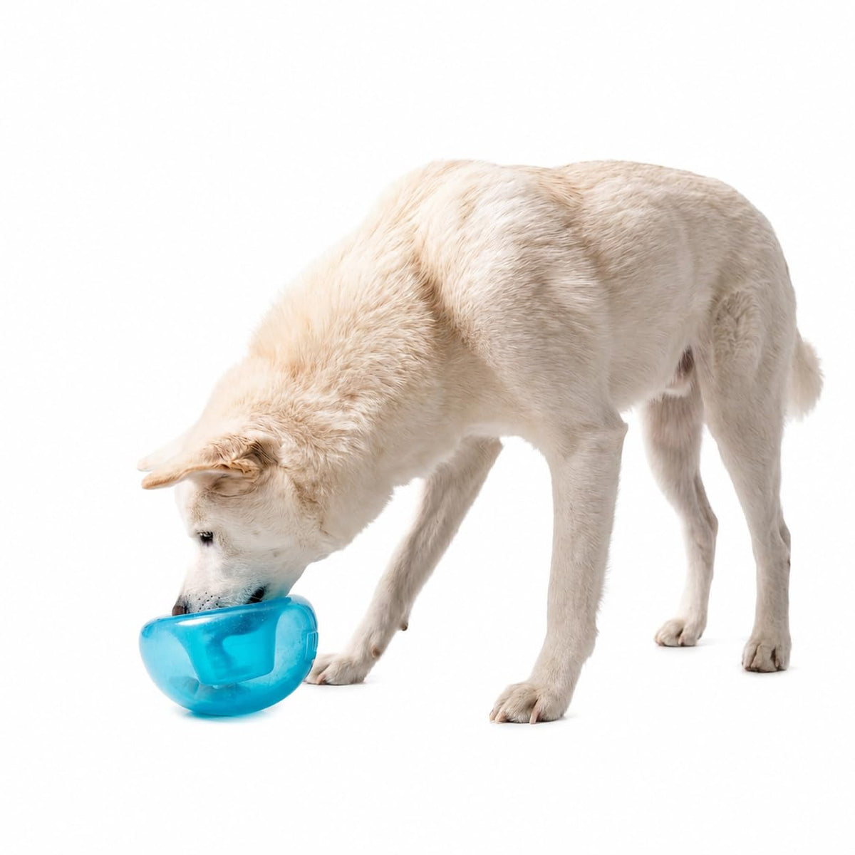 Blue Interactive Treat Dispensing Dog Toy Q89010