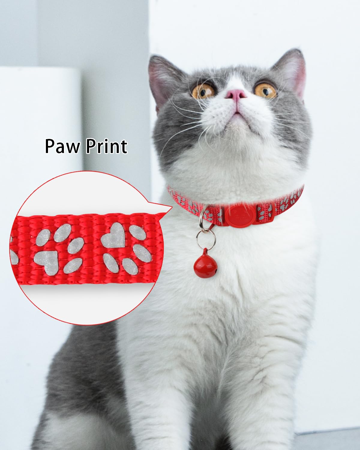 Personalized Cat Collar with Name Tag & Bell I159284