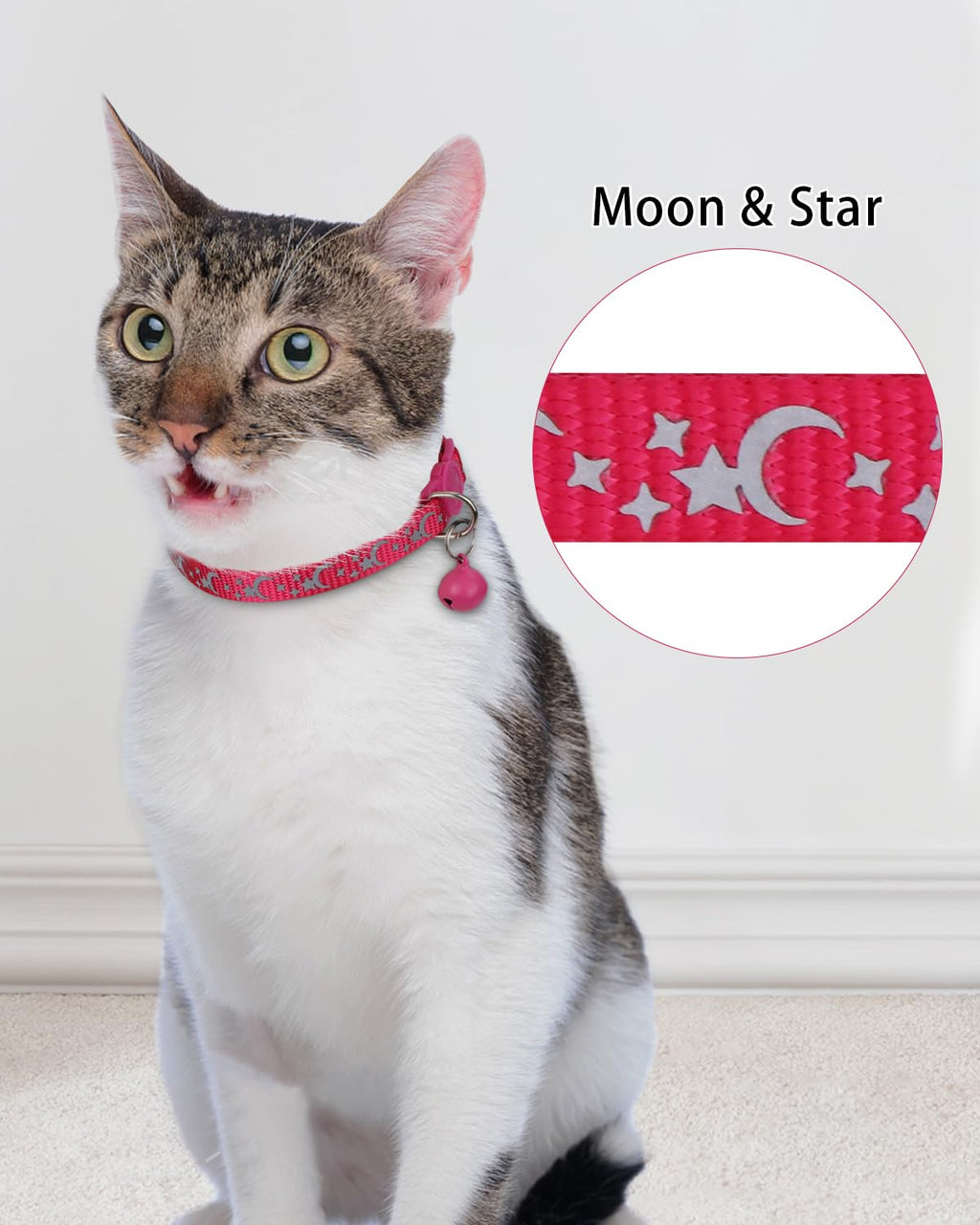 Personalized Cat Collar with Name Tag & Bell I159284