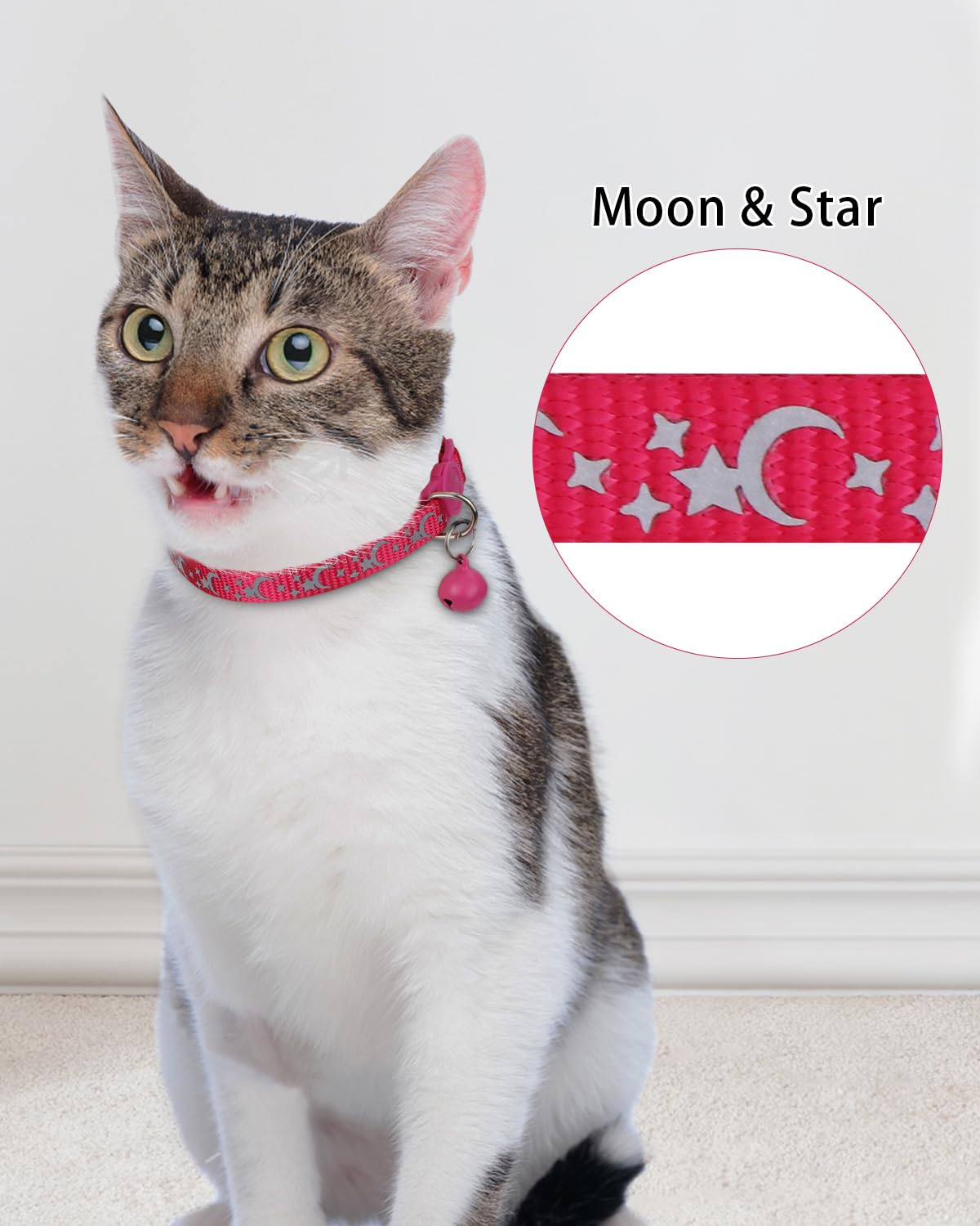 Personalized Cat Collar with Name Tag & Bell I159284