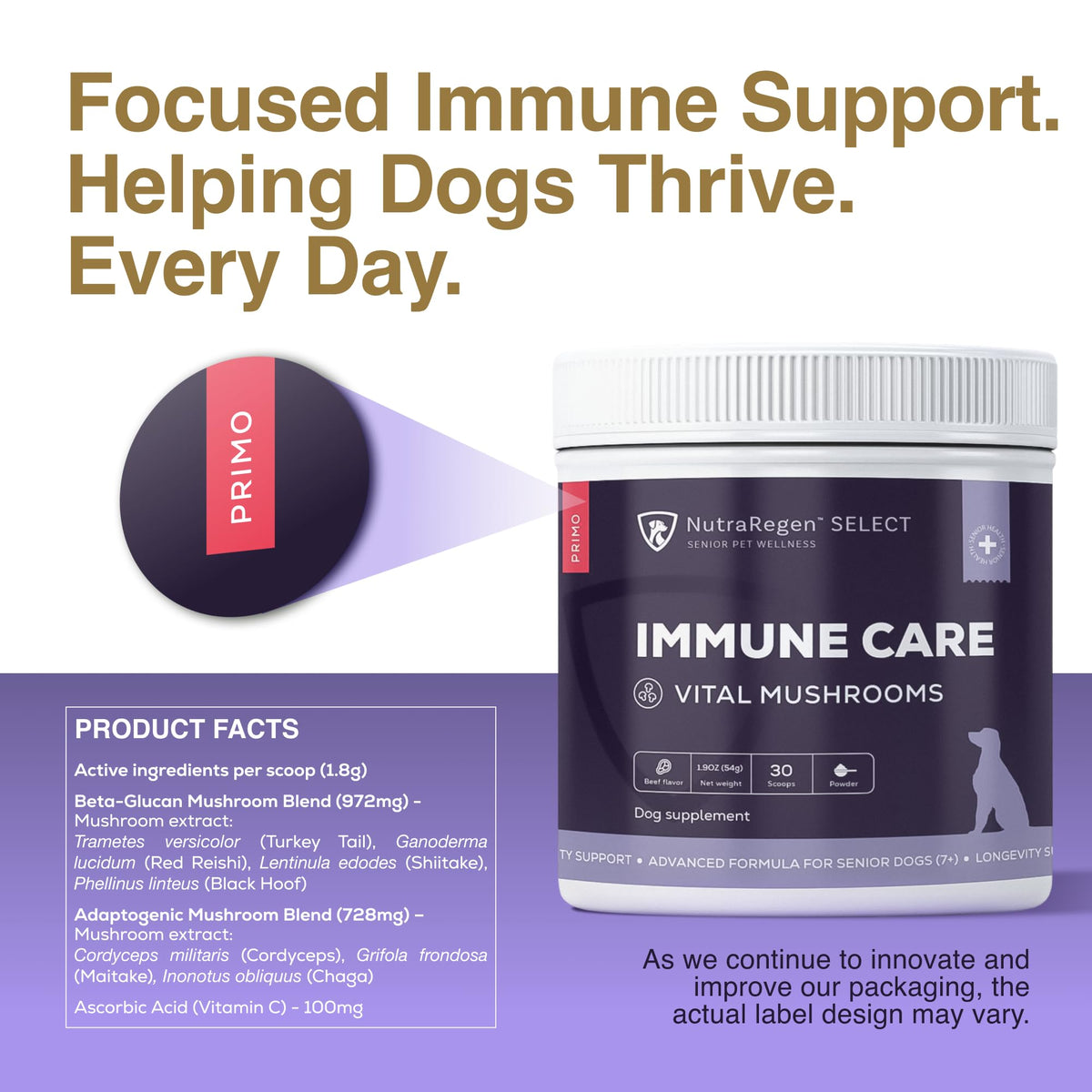 Dog Mushroom Supplement with Turkey Tail N3526