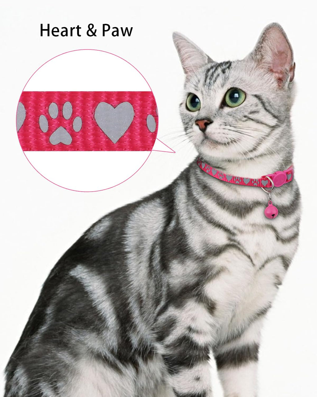 Personalized Cat Collar with Name Tag & Bell I159284