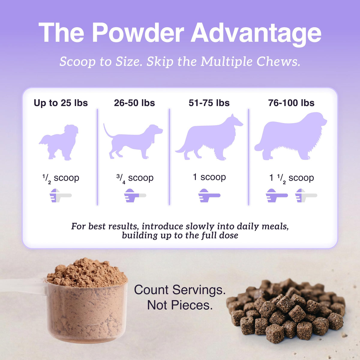 Dog Mushroom Supplement with Turkey Tail N3526