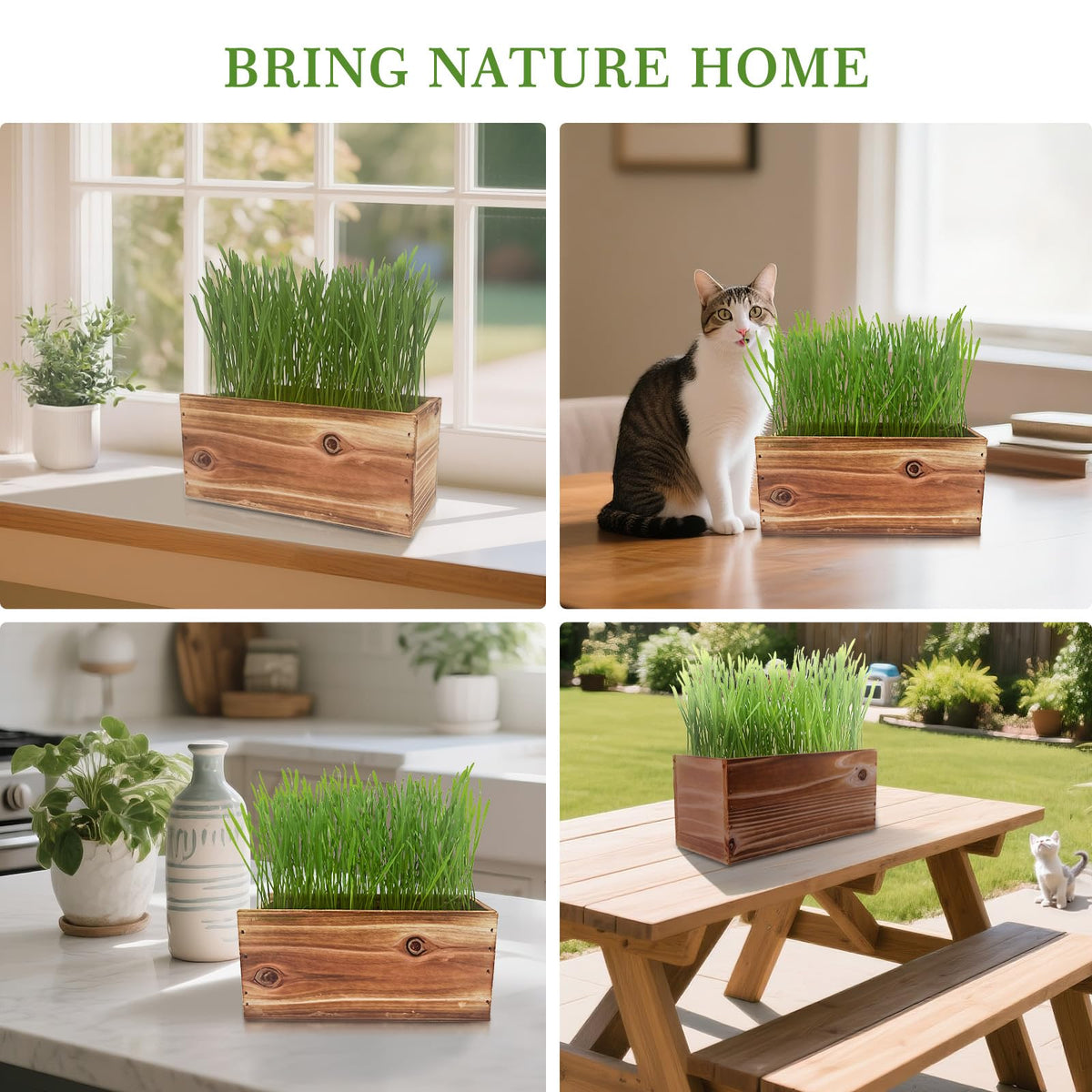 Non-GMO Wheatgrass Cat Grass Kit with Wood Planter Soil & Tools 17-Piece Set R2489