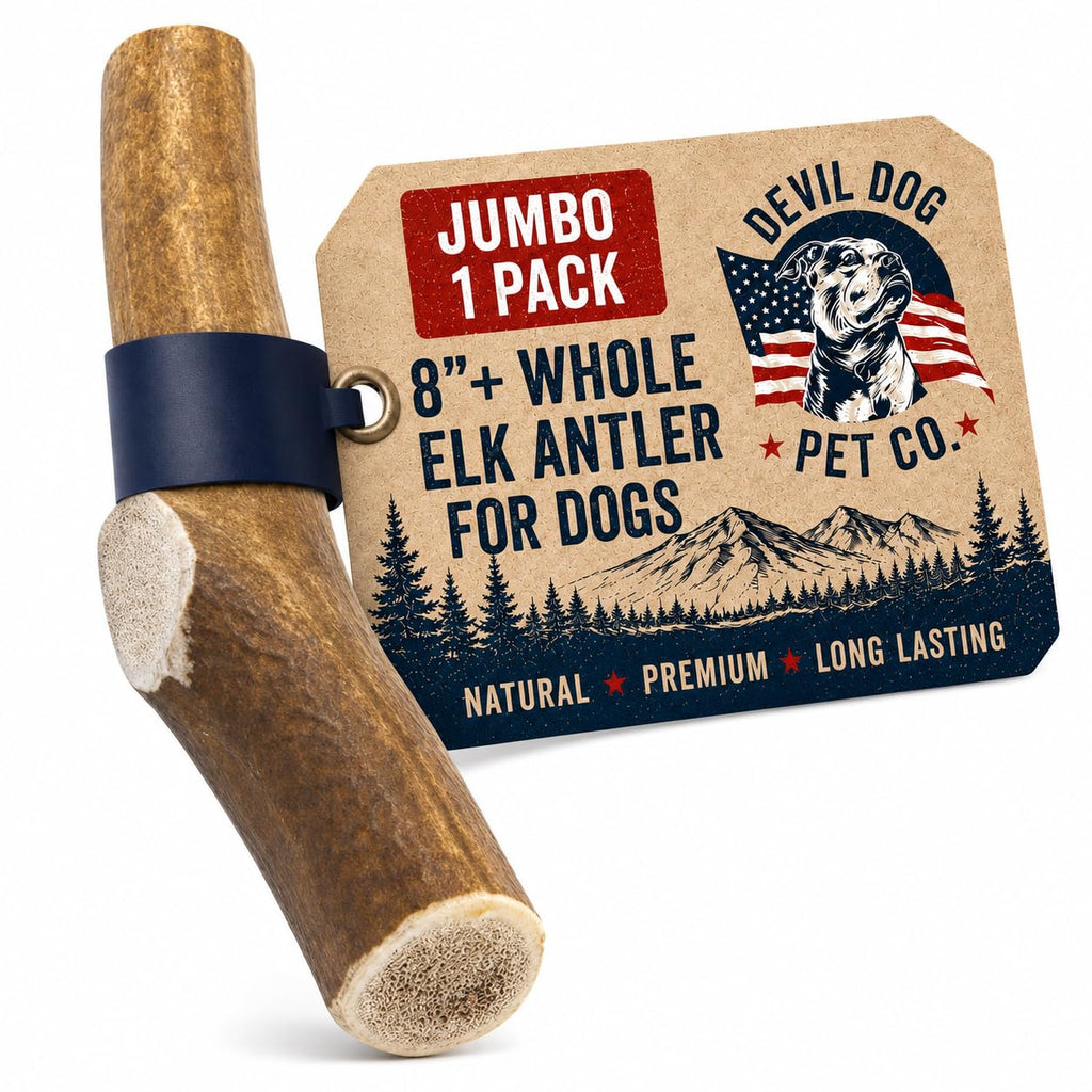 Whole Elk Antlers for Dogs Jumbo W167759