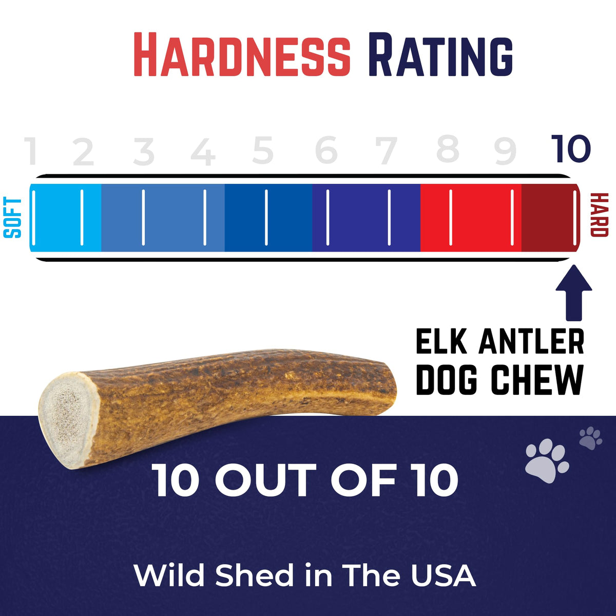 Whole Elk Antlers for Dogs Jumbo W167759