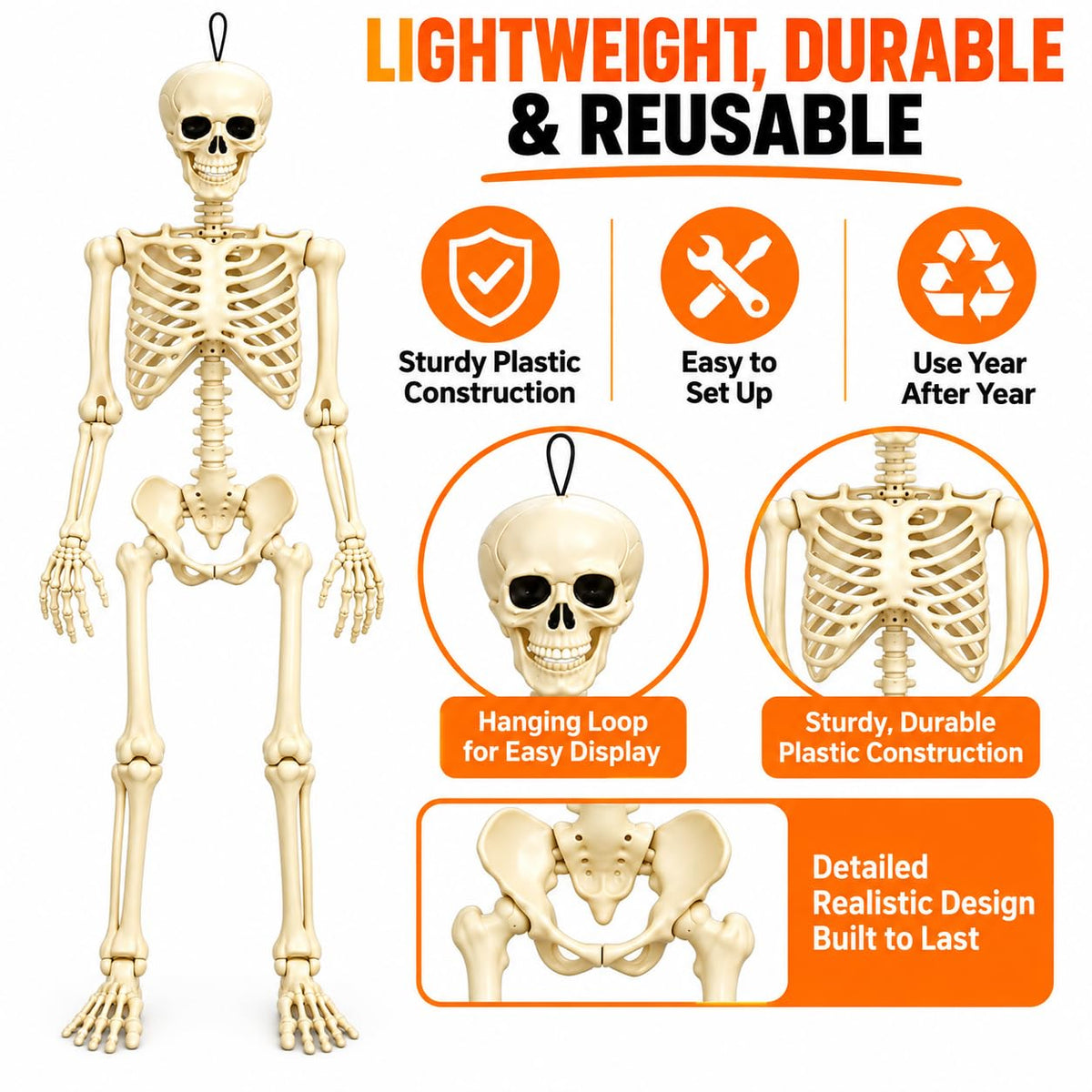 Posable Halloween Skeleton P22629