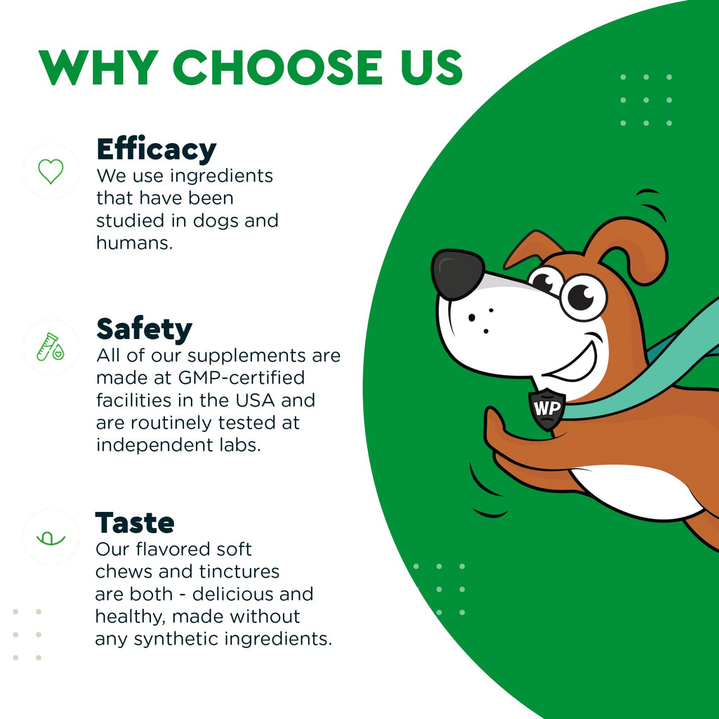 Soft Chews Plus Multivitamin Chews for Dogs V3739