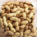 Roasted Salted Peanuts in the Shell 10 LB A518