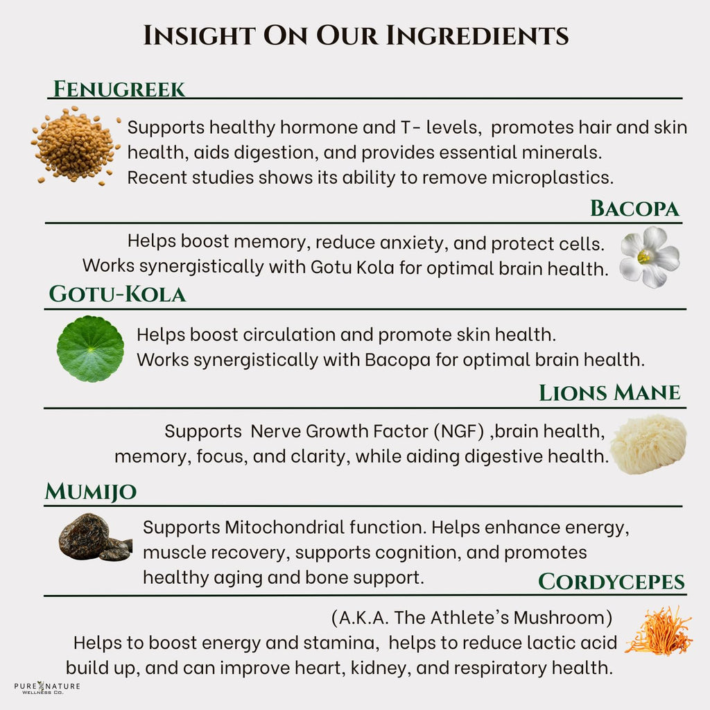 Organic Mushroom Complex Nootropic U420218