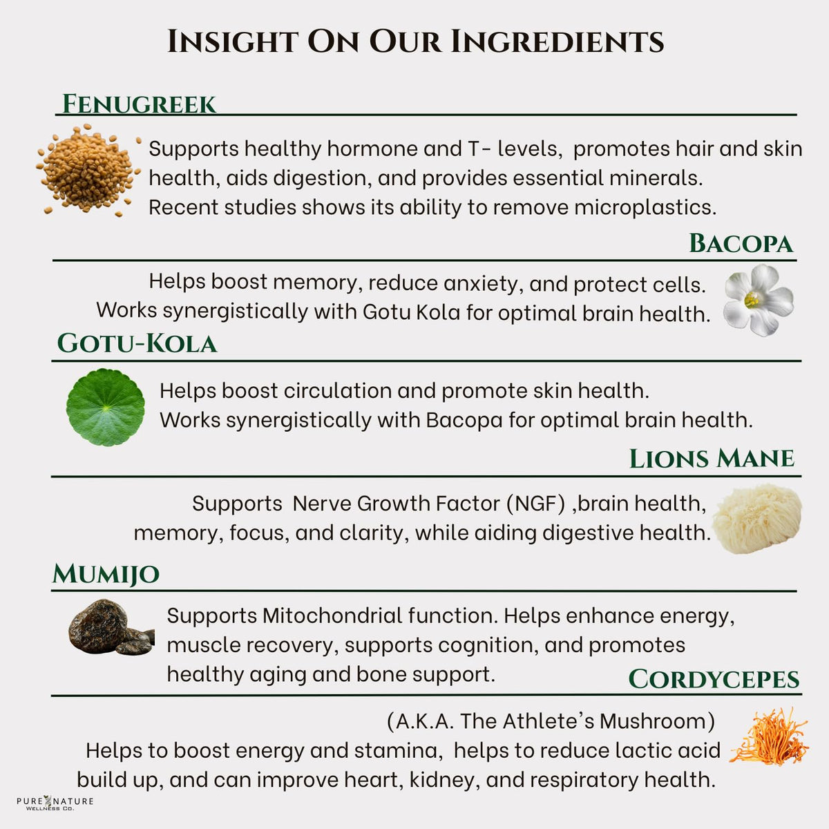 Organic Mushroom Complex Nootropic U420218