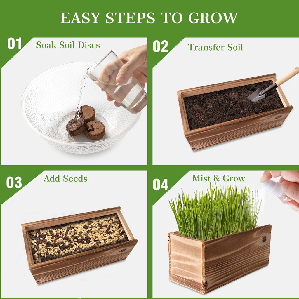 Non-GMO Wheatgrass Cat Grass Kit with Wood Planter Soil & Tools 17-Piece Set R2489