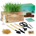 Non-GMO Wheatgrass Cat Grass Kit with Wood Planter Soil & Tools 17-Piece Set R2489