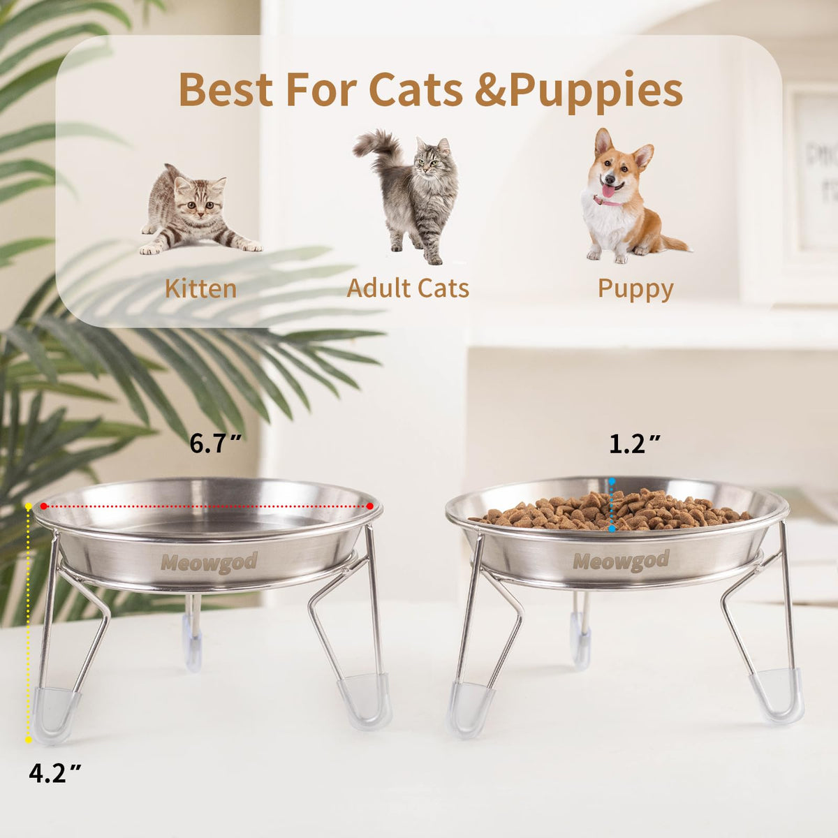 6.7" Elevated Stainless Steel Cat Bowls with Anti-Slip Stand P966208