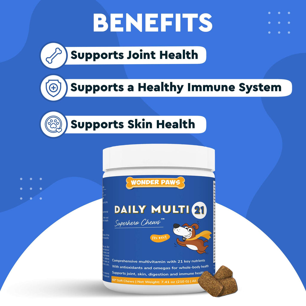 Soft Chews Plus Multivitamin Chews for Dogs V3739