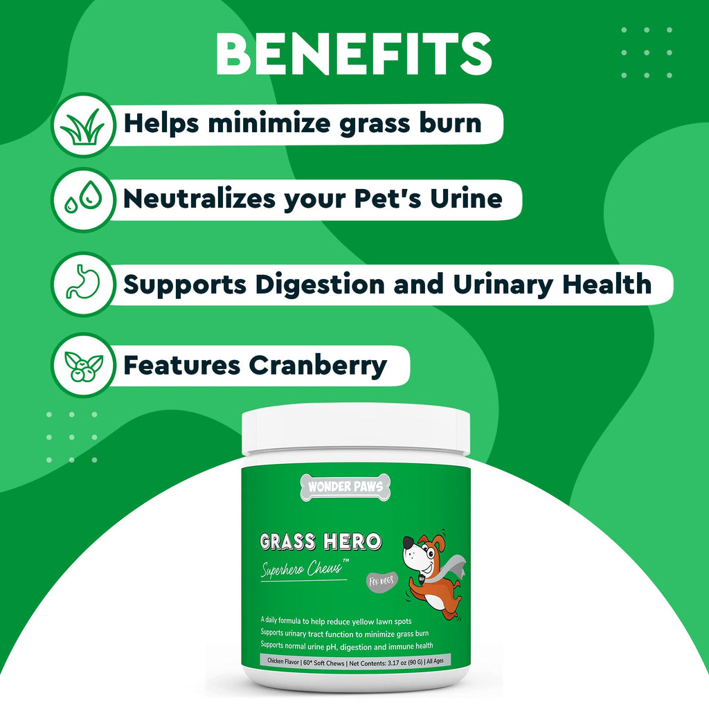 Soft Chews Plus Multivitamin Chews for Dogs V3739