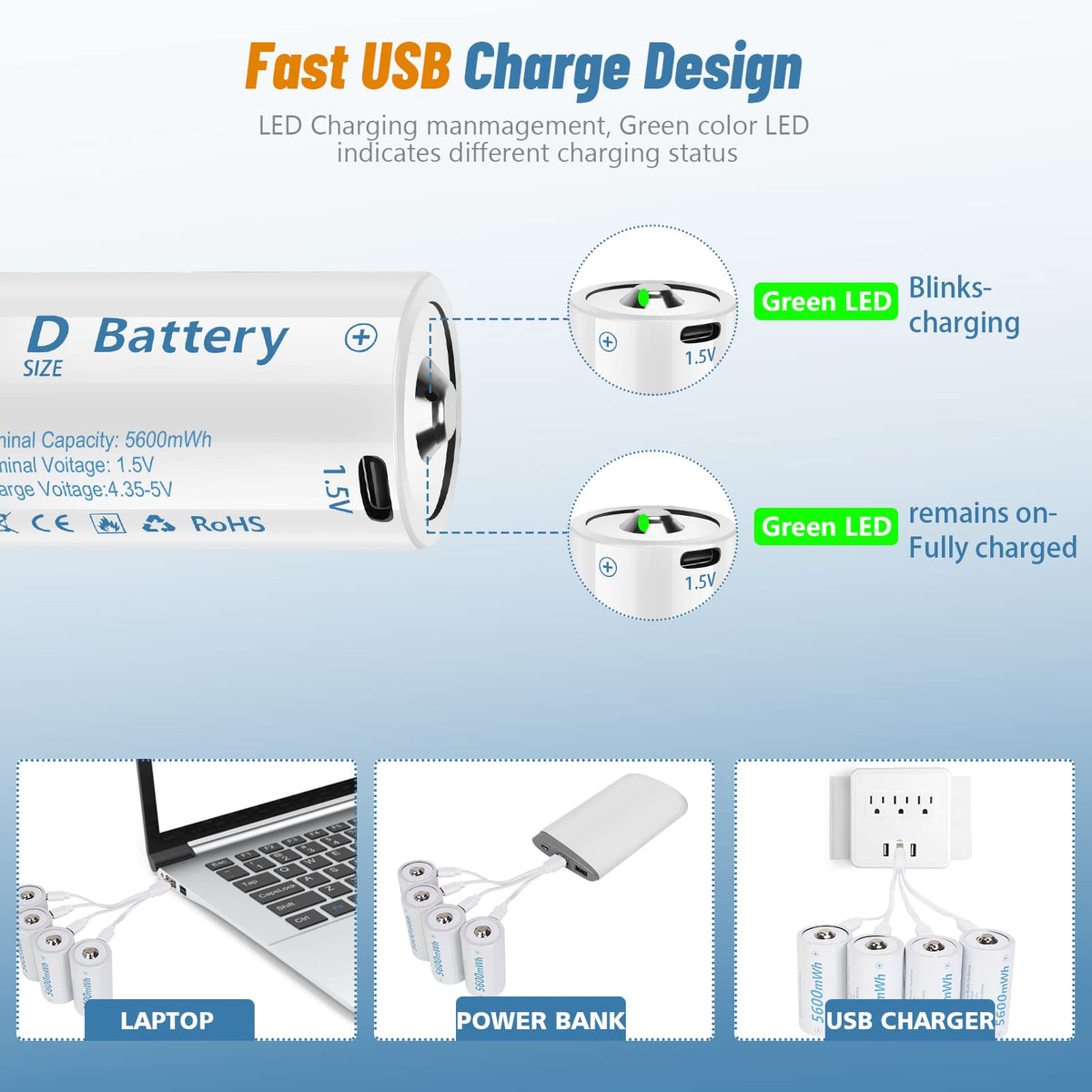 Rechargeable Lithium D Batteries 4 Pack J463