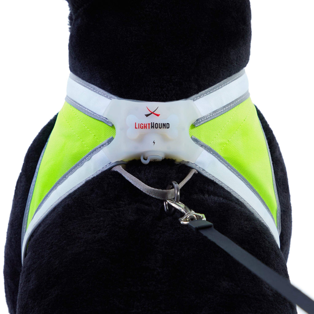 Reflective Light Up Dog Harness Large S515