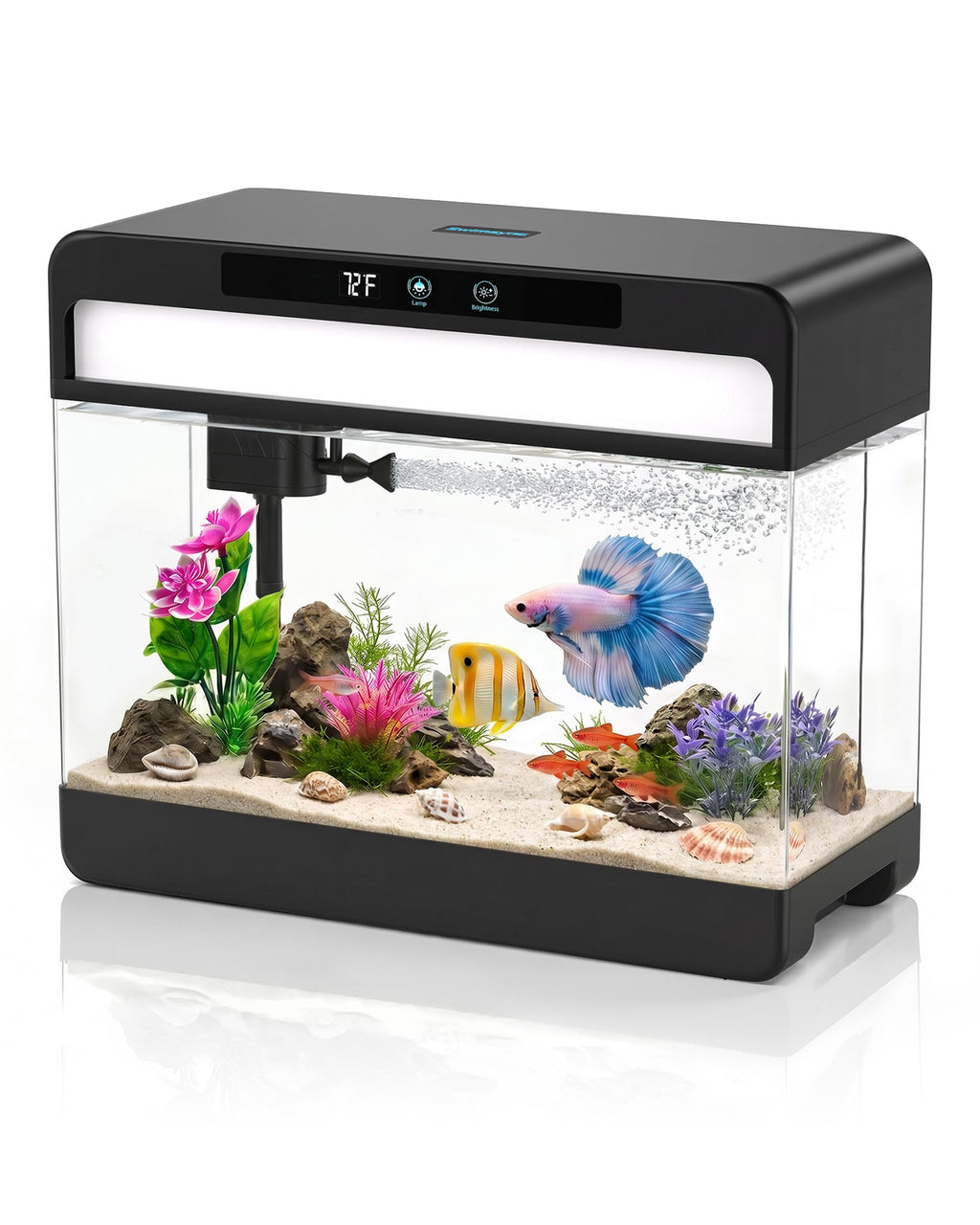 3 Gallon Fish Tank Starter Kit F7877