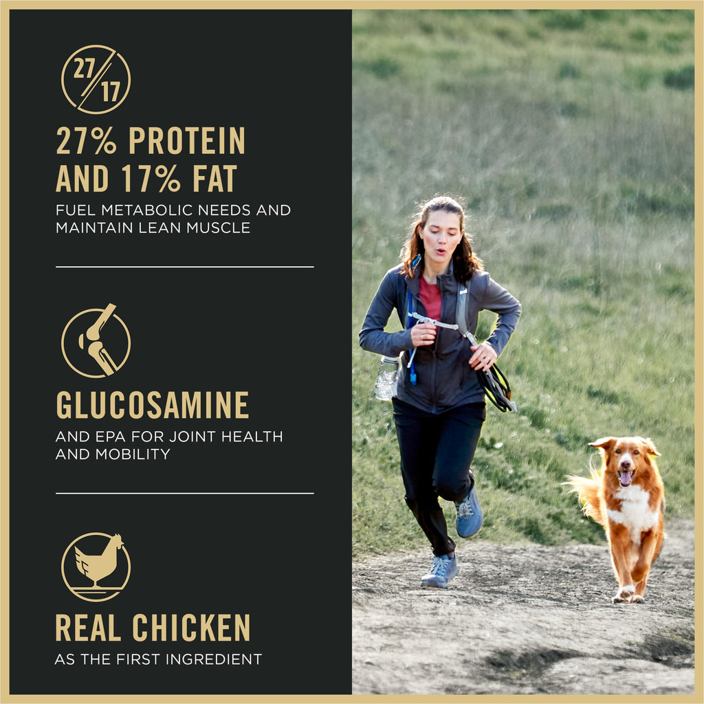 High Protein Chicken & Rice Dog Food 37.5 lb C224