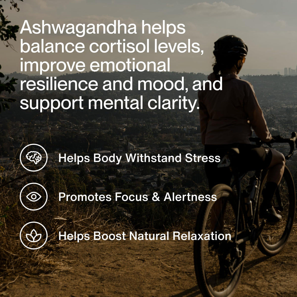 Ashwagandha Supplement 300mg W276