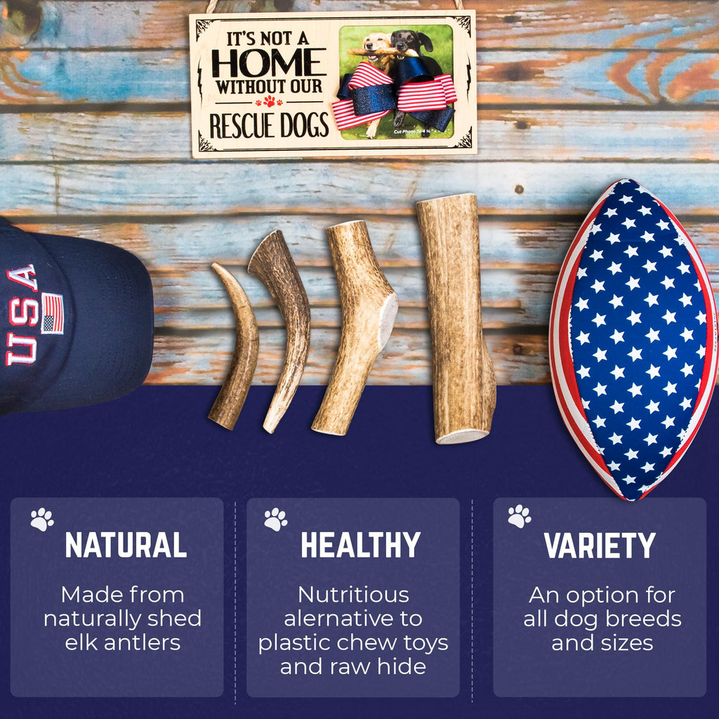 Whole Elk Antlers for Dogs Jumbo W167759