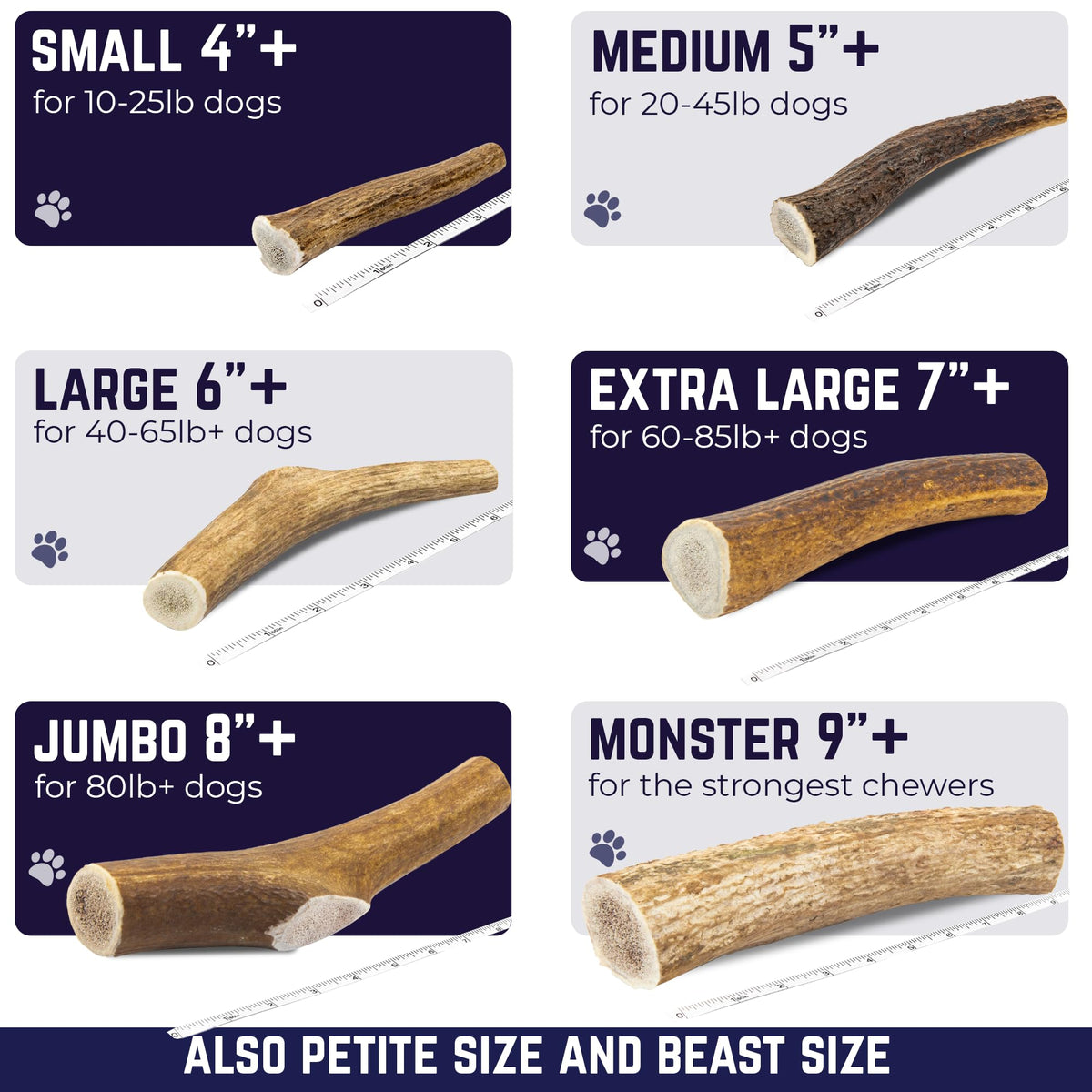 Whole Elk Antlers for Dogs Jumbo W167759
