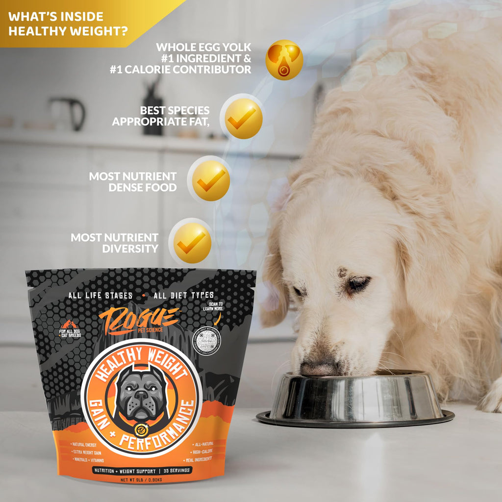 Natural Weight Gainer Dog Food Topper 2 lbs S127734