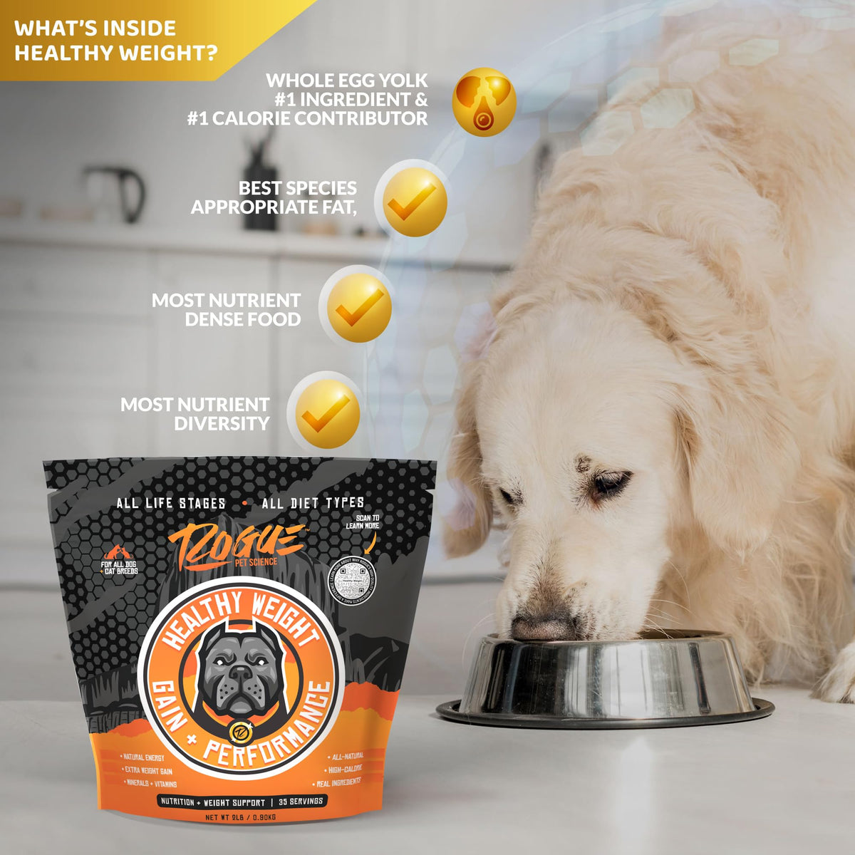 Natural Weight Gainer Dog Food Topper 2 lbs S127734