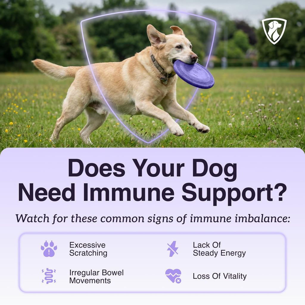 Dog Mushroom Supplement with Turkey Tail N3526