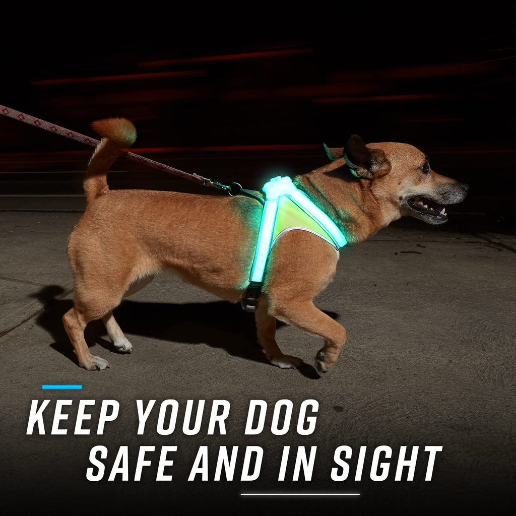 Reflective Light Up Dog Harness Large S515
