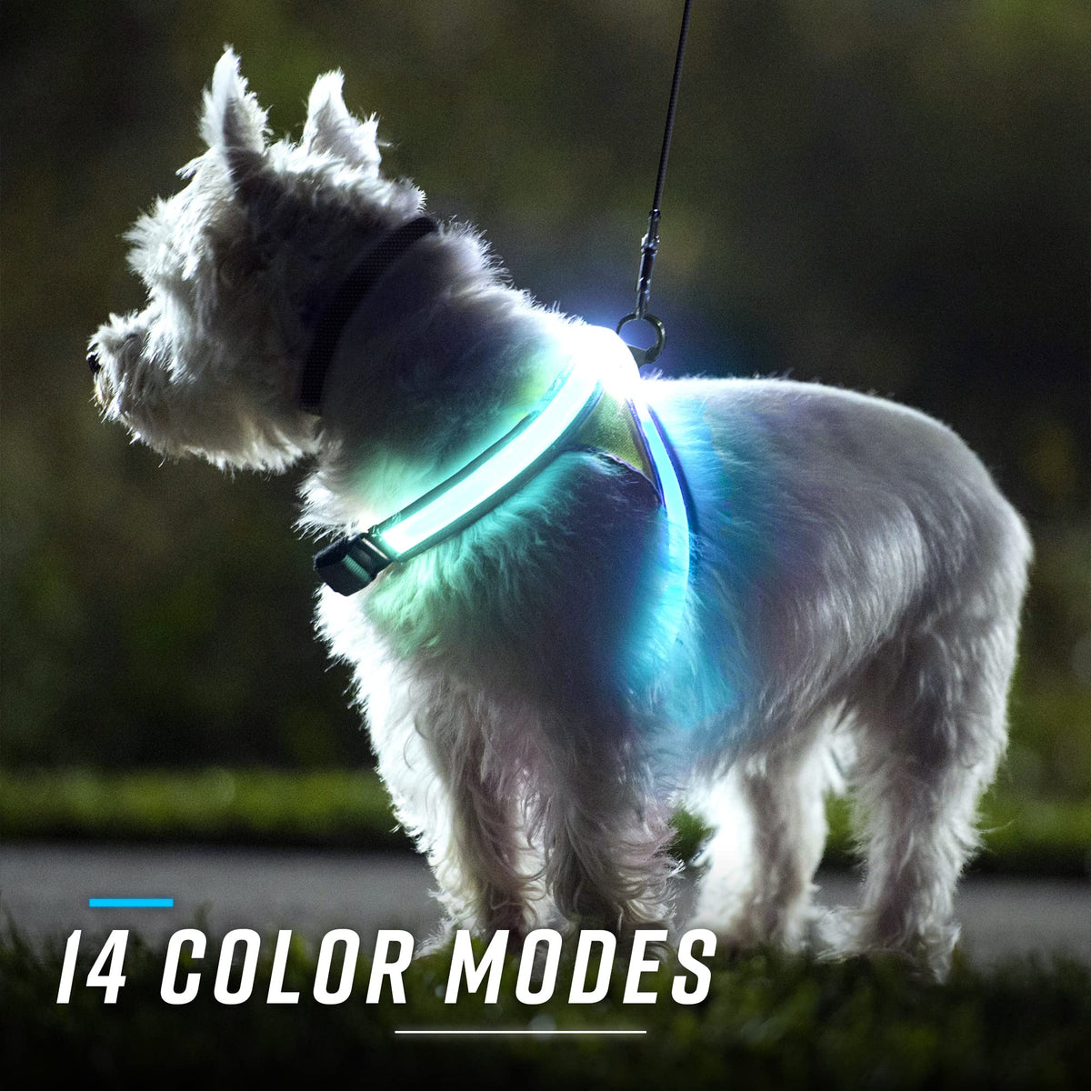Reflective Light Up Dog Harness Large S515