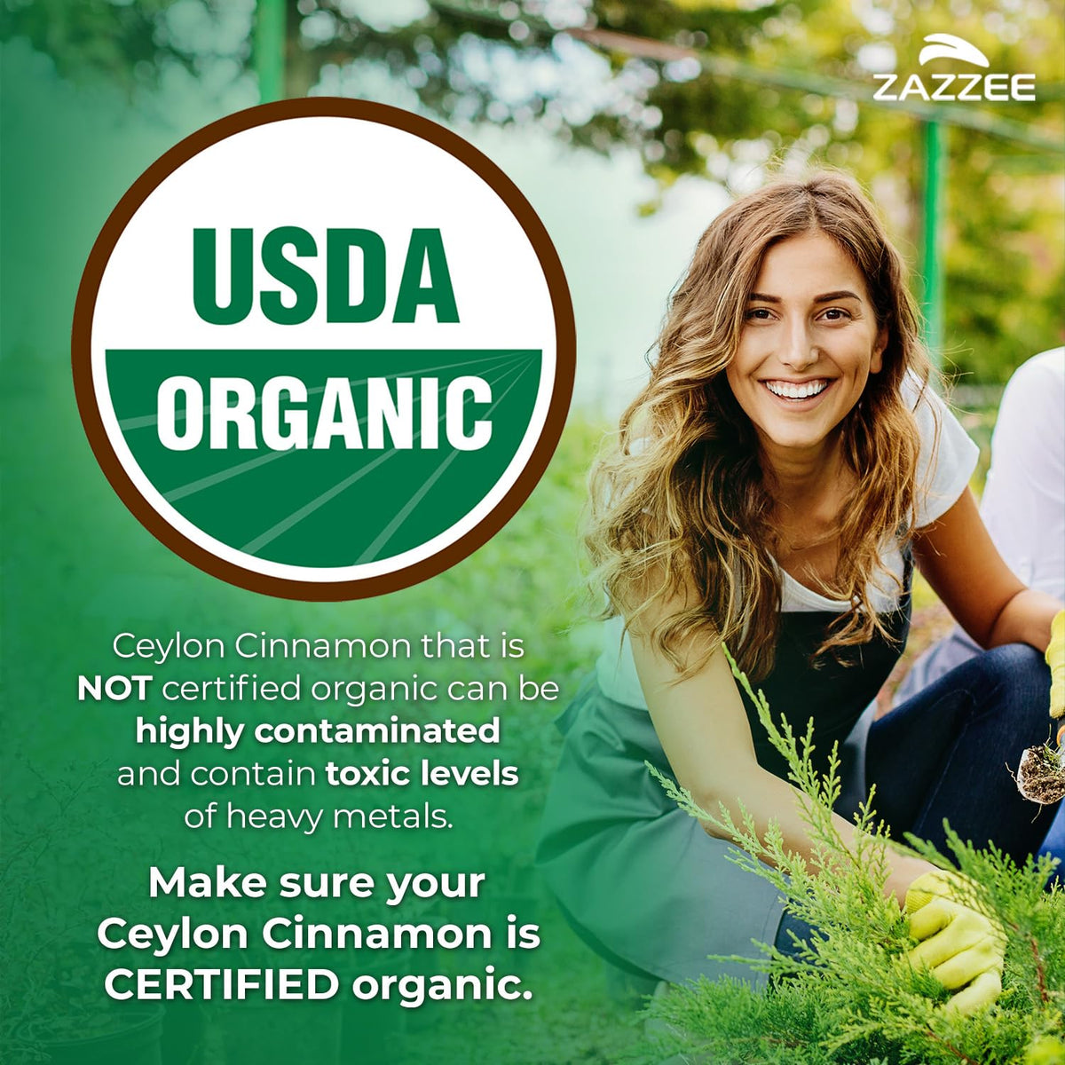 USDA Organic Ceylon Cinnamon 20:1 Extract 150 Capsules C378747