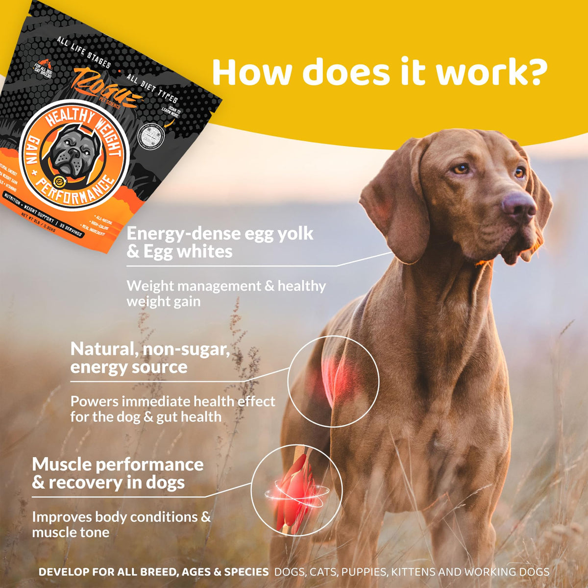 Natural Weight Gainer Dog Food Topper 2 lbs S127734