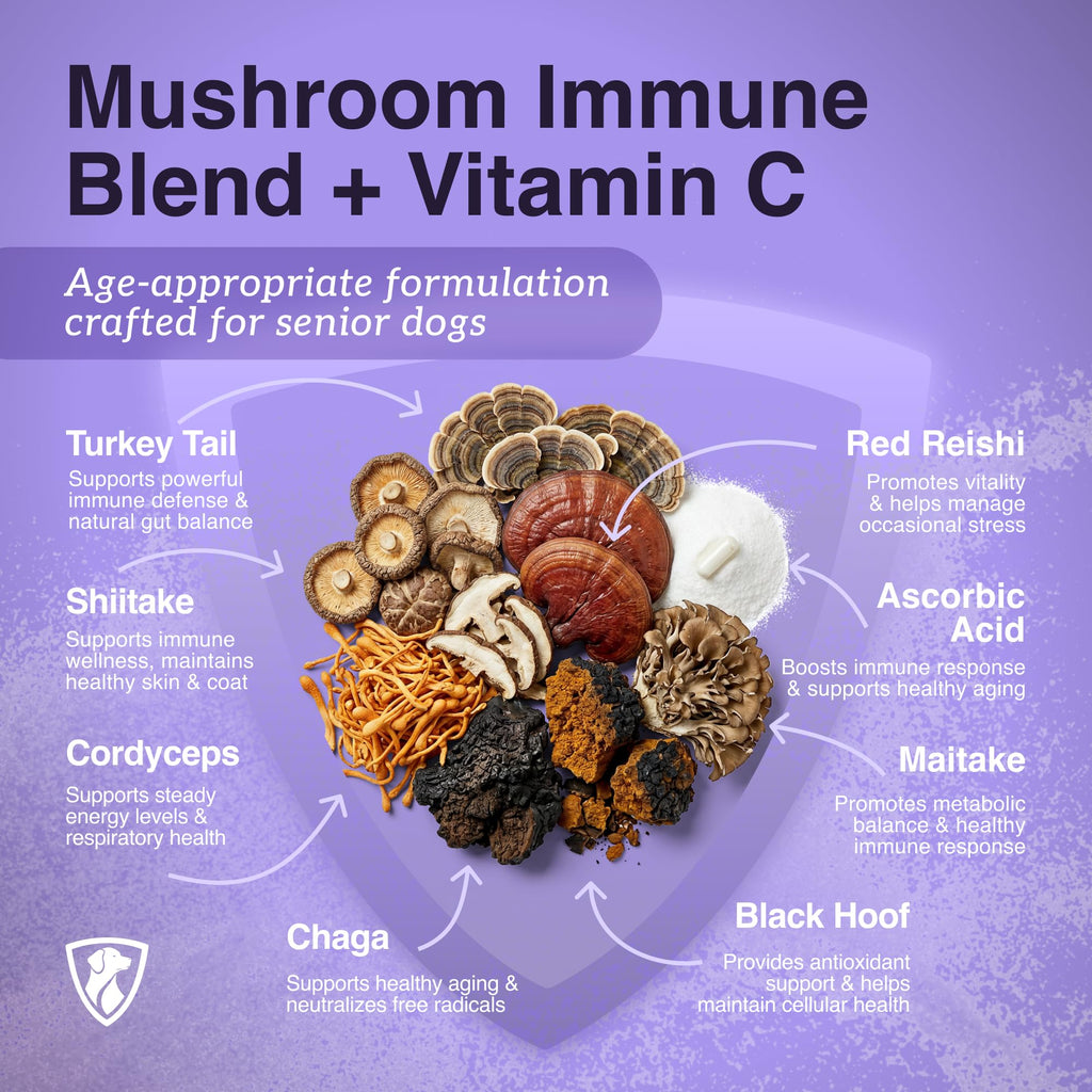 Dog Mushroom Supplement with Turkey Tail N3526
