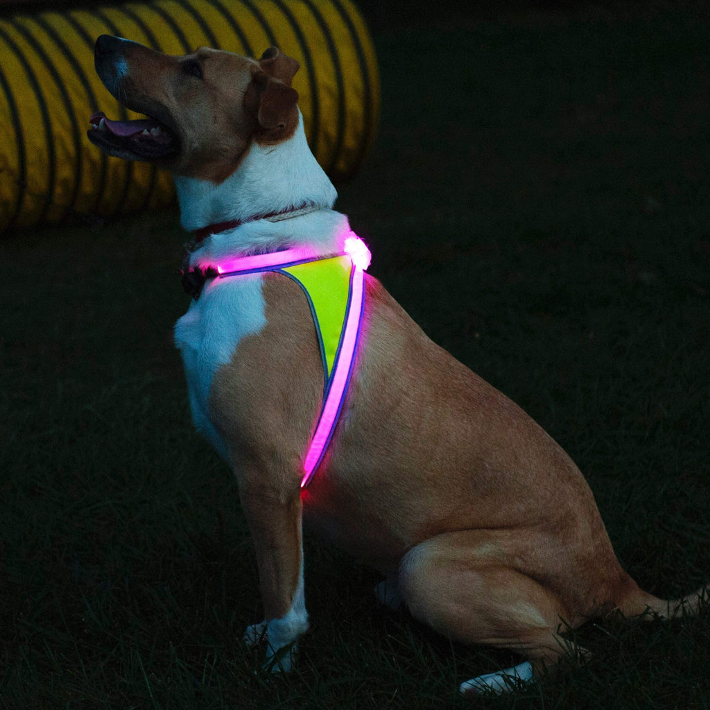 Reflective Light Up Dog Harness Large S515